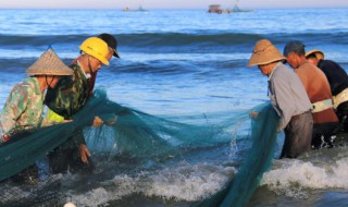 海产养殖公司安全生产注意事项 水产养殖生产安全管理