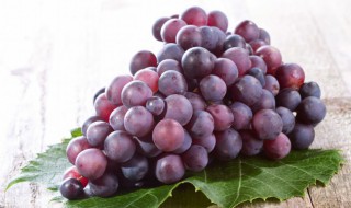 葡萄籽什么时候种最好 葡萄籽几月种