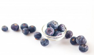 蓝莓什么时候种 蓝莓什么时候种植最好