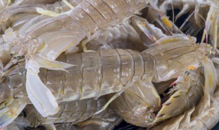 皮皮虾清水煮多长时间 清煮皮皮虾多长时间