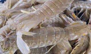 皮皮虾需要煮多长时间 皮皮虾需要煮多长时间才能熟