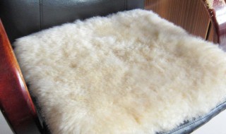 家庭羊毛坐垫清洗方法 羊毛坐垫子如何清洗