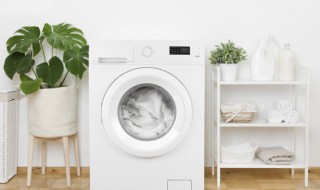 家里清洗洗衣机方法 家庭洗衣机的自己清洗方法