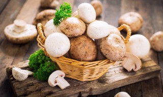 怎样腌油蘑 油蘑用盐腌制方法怎么存放