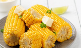 玉米面保存放大料的方法 玉米面用什么装更容易保存?
