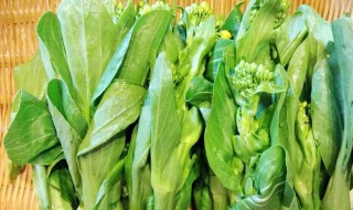 油菜苔怎么做既简单又好吃 油菜苔的做法
