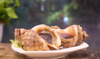 琵琶海螺煮几分钟熟 煮海螺要煮多久才熟