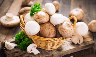 蘑菇放冰箱可以保存多久 蘑菇可以放冰箱保鲜多长时间