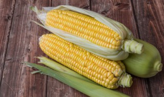 玉米碜煮几分钟能熟 玉米糁几分钟煮熟