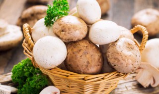 蘑菇冰箱里放得时间长了可以吃了吗 蘑菇放在冰箱长大了能吃吗