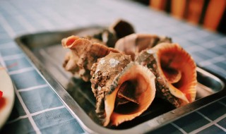 红里螺煮多长时间能熟 红螺煮几分钟可以熟