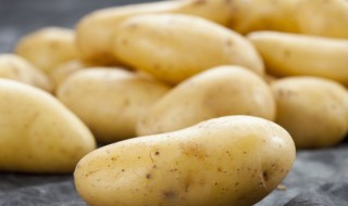 土豆怎么做既简单又好吃素食 素炒土豆怎么做好吃