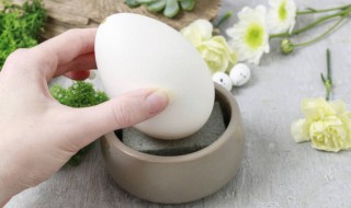 煮鹅蛋用几分钟能熟 煮鹅蛋要几分钟能熟