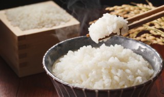 大米蒸多久能蒸熟 蒸大米多久能熟