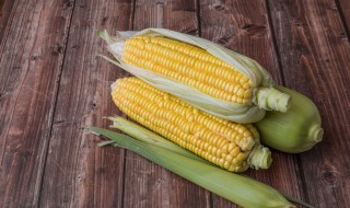 切断的玉米蒸多久能熟 玉米多久能蒸熟?