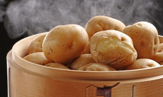 土豆蒸多久能熟 土豆蒸多久能熟成泥
