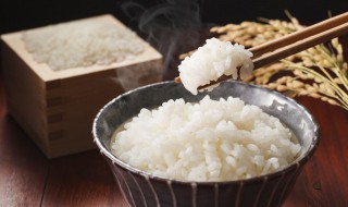 米饭一般蒸多久能熟 高压锅米饭一般蒸多久能熟