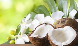 椰子种发芽了怎么吃 椰子发芽可以吃吗?