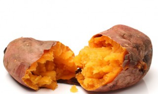 番薯发芽了怎么种 番薯发芽可以种成番薯吗