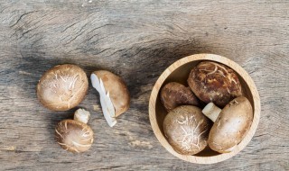 新鲜香菇如何保存方法 新香菇保存方法