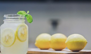 薄荷柠檬绿茶的做法 柠檬薄荷茶的做法