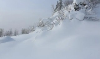 东北雪乡自助游 去东北雪乡攻略