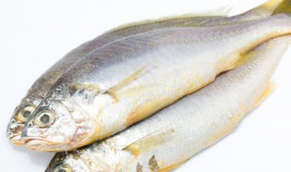 咸鱼一般蒸多久能熟 咸鱼蒸多久能熟