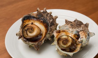 海螺煮几分钟能熟海螺如何保存 海螺煮多长时间就熟了可以吃了