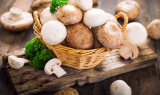 白蘑菇煮熟时间 白蘑菇煮几分钟熟