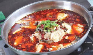 火锅鱼煮几分钟能熟 火锅鱼要煮几分钟