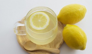 川贝冰糖炖柠檬的做法（川贝柠檬怎么炖）