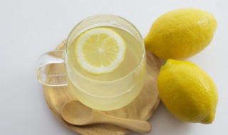 柠檬水饮料的做法 柠檬饮料的做法大全