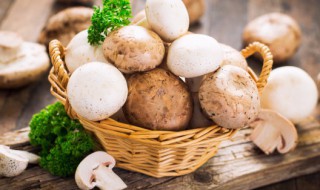 新鲜蘑菇可以放冰箱冷藏吗 新鲜蘑菇可以放冰箱吗