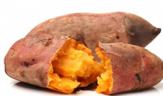红薯一般需要蒸多久能熟 红薯一般蒸多久能熟