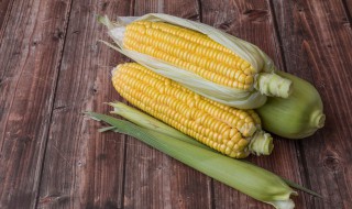 蒸粘玉米一般需要多少长时间 粘玉米蒸多久能熟