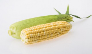 玉米一般蒸多久可以熟 玉米一般蒸多久能熟
