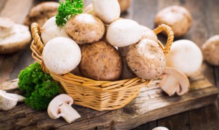 蘑菇怎么看熟了 怎么确认蘑菇熟没熟
