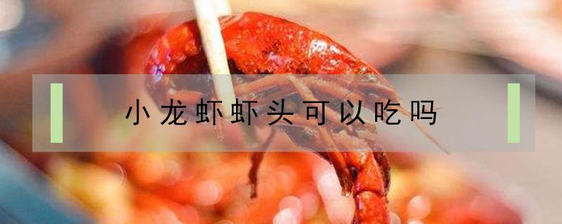 小龙虾虾头可以吃不 小龙虾虾头可以吃吗