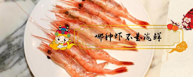 哪种虾不是海鲜 虾类都属于海鲜吗
