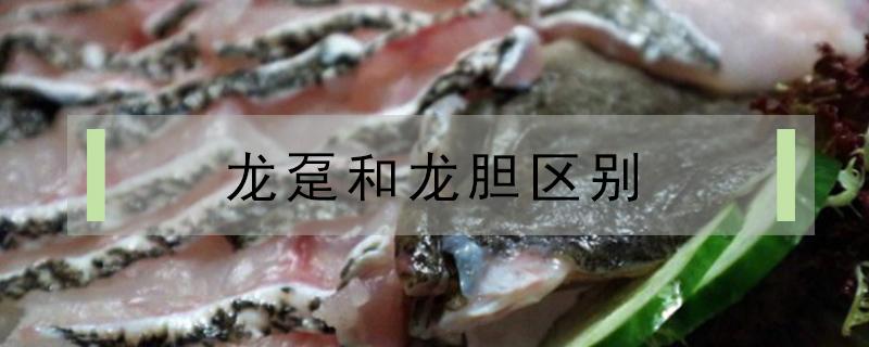 龙趸和石斑鱼哪个肉嫩 龙趸和石斑鱼区别