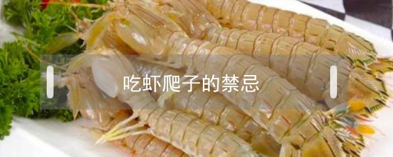 吃虾爬子的禁忌虾爬子蘸什么吃最好 吃虾爬子的禁忌