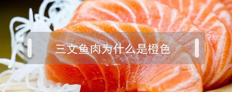 三文鱼肉是什么颜色 三文鱼肉为什么是橙色