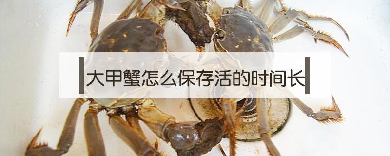 大甲蟹怎么保存活的时间长 大闸蟹怎么保鲜3天