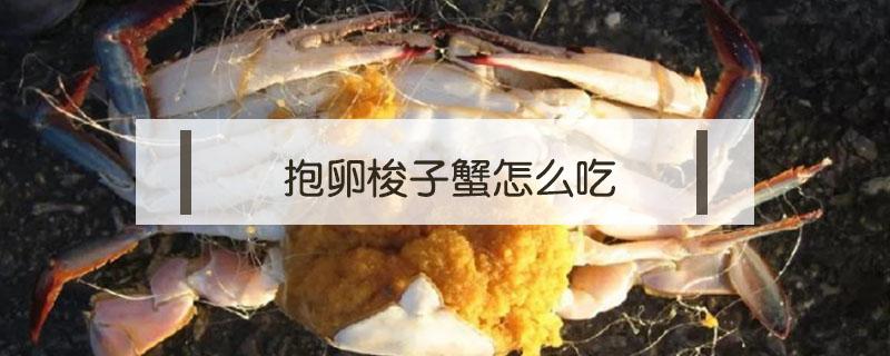 抱卵梭子蟹怎么吃 如何吃梭子蟹