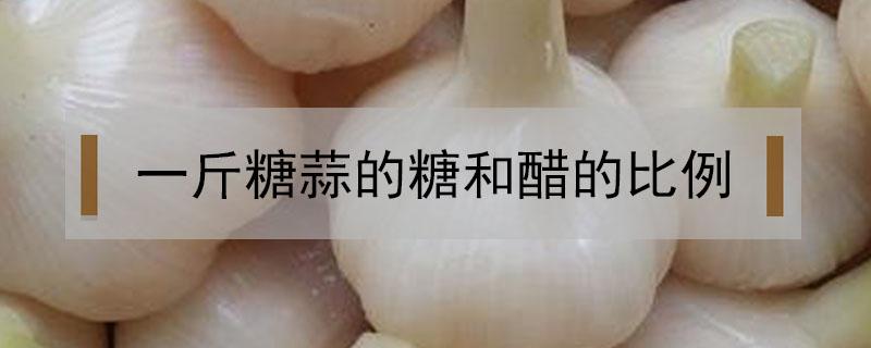 一斤糖蒜的糖和醋比例 一斤糖蒜的糖和醋比例放多少糖