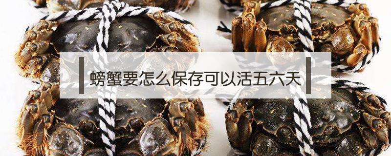 螃蟹要怎么保存可以活五六天 活螃蟹保存5天方法