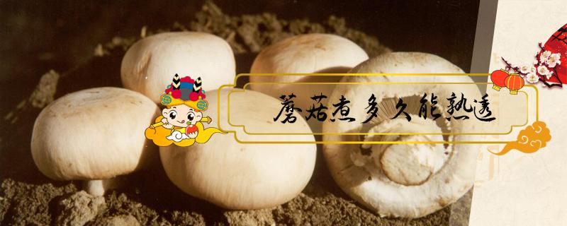 蘑菇煮多久能熟透 蘑菇一般煮多久能熟