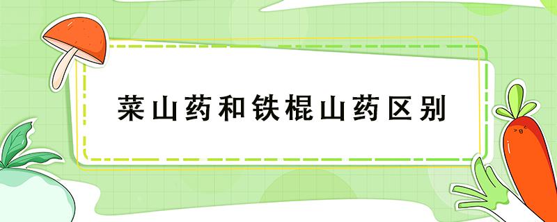 菜山药和铁棍山药的区别在哪里 菜山药和铁棍山药区别