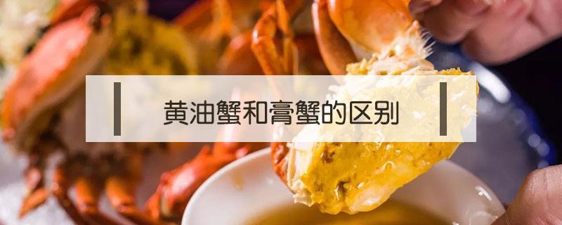 膏蟹和肉蟹区别哪个有蟹黄 黄油蟹和膏蟹的区别