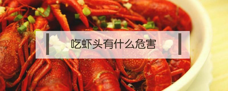 吃虾头有什么危害 常吃虾头对身体有害吗